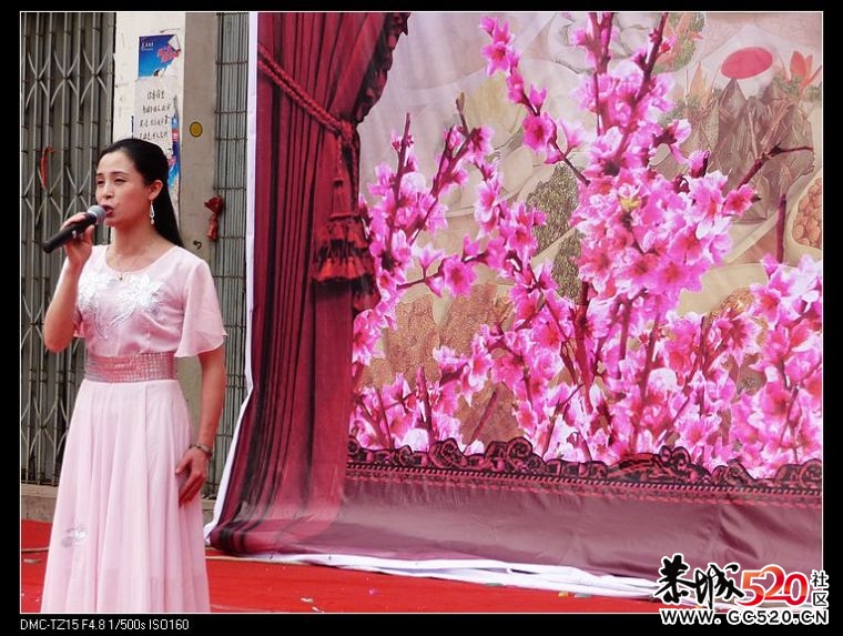 回忆油茶形象大使揭晓及演出活动花絮5 / 作者:平安大叔 / 帖子ID:2886