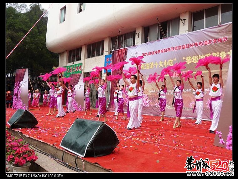 回忆油茶形象大使揭晓及演出活动花絮248 / 作者:平安大叔 / 帖子ID:2886