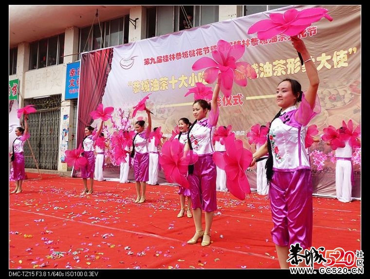 回忆油茶形象大使揭晓及演出活动花絮857 / 作者:平安大叔 / 帖子ID:2886