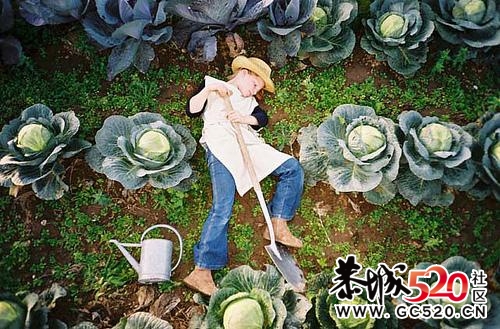 国外的小孩想象力真好488 / 作者:limushzh / 帖子ID:2951