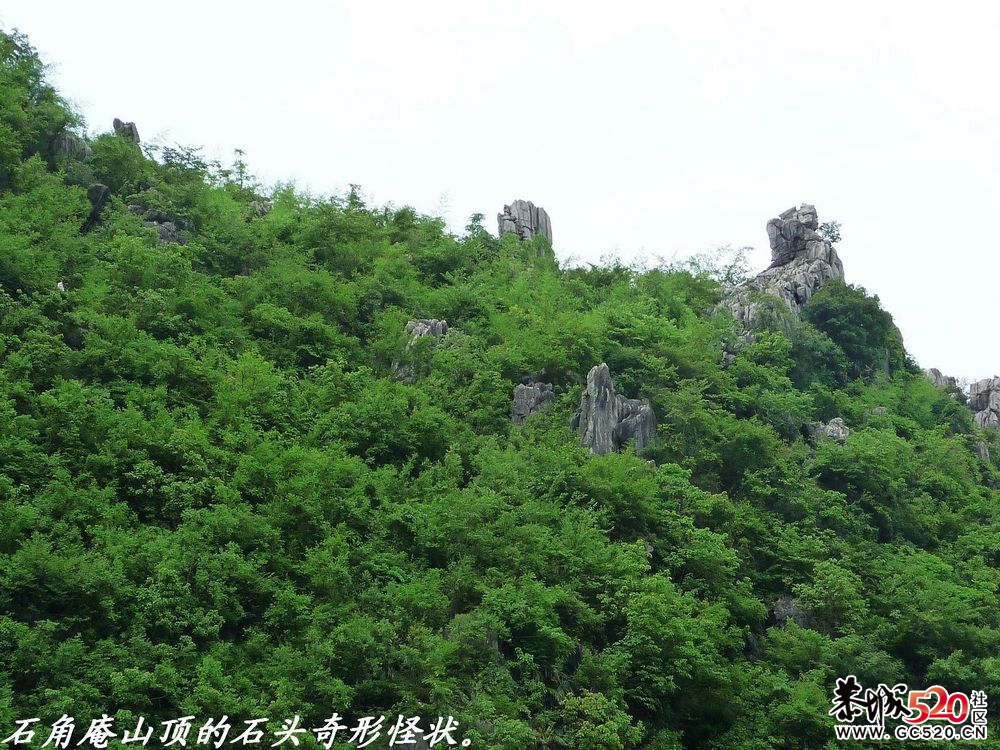 一个集钓鱼、游玩的好去处：寨山厄、石角庵。26 / 作者:平安大叔 / 帖子ID:2971