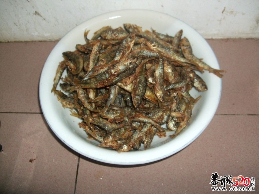 老鼠肉，河边小鱼仔。猪脚，猪下水....415 / 作者:矮木劈山 / 帖子ID:2995