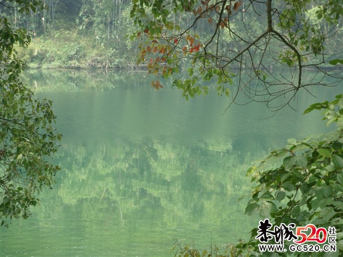 茶江户外徒步茶江部分风景PP500 / 作者:福民侠 / 帖子ID:3076