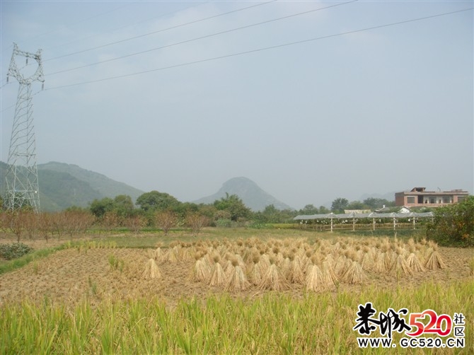 茶江户外徒步茶江部分风景PP577 / 作者:福民侠 / 帖子ID:3076
