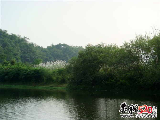 茶江户外徒步茶江部分风景PP706 / 作者:福民侠 / 帖子ID:3076