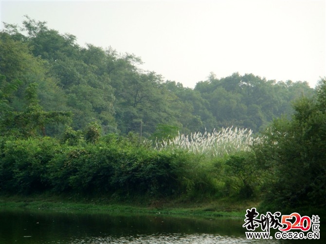 茶江户外徒步茶江部分风景PP383 / 作者:福民侠 / 帖子ID:3076