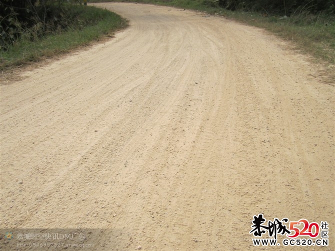 恭城首届山地车的尖端部队945 / 作者:小卷 / 帖子ID:3027