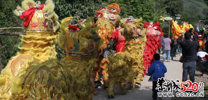 水滨盘王节上 游街片段903 / 作者:瑶族老 / 帖子ID:3513