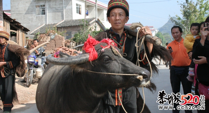 水滨盘王节上 游街片段750 / 作者:瑶族老 / 帖子ID:3513