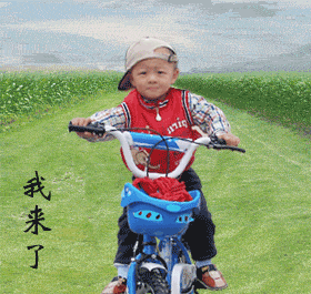 美女哦63 / 作者:否定一切 / 帖子ID:3594