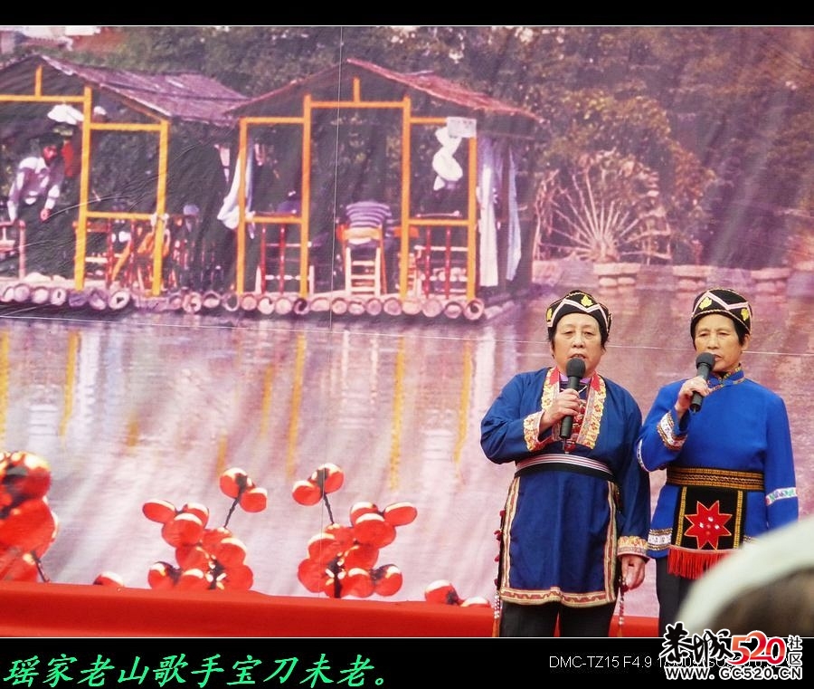 平安大叔参加过的三次月柿节回忆800 / 作者:平安大叔 / 帖子ID:3650