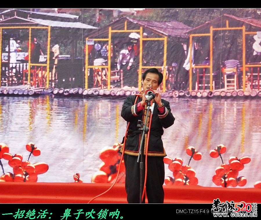 平安大叔参加过的三次月柿节回忆796 / 作者:平安大叔 / 帖子ID:3650