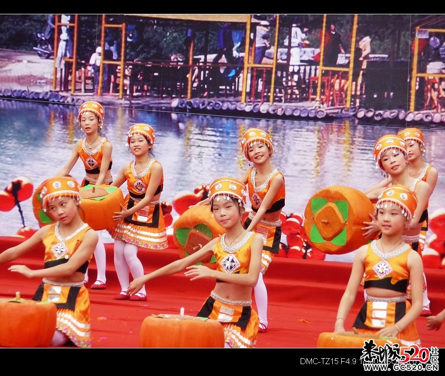 平安大叔参加过的三次月柿节回忆92 / 作者:平安大叔 / 帖子ID:3650