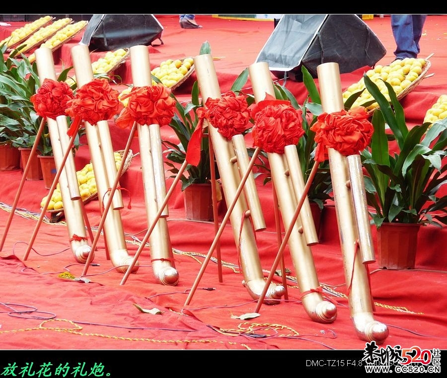 平安大叔参加过的三次月柿节回忆633 / 作者:平安大叔 / 帖子ID:3650