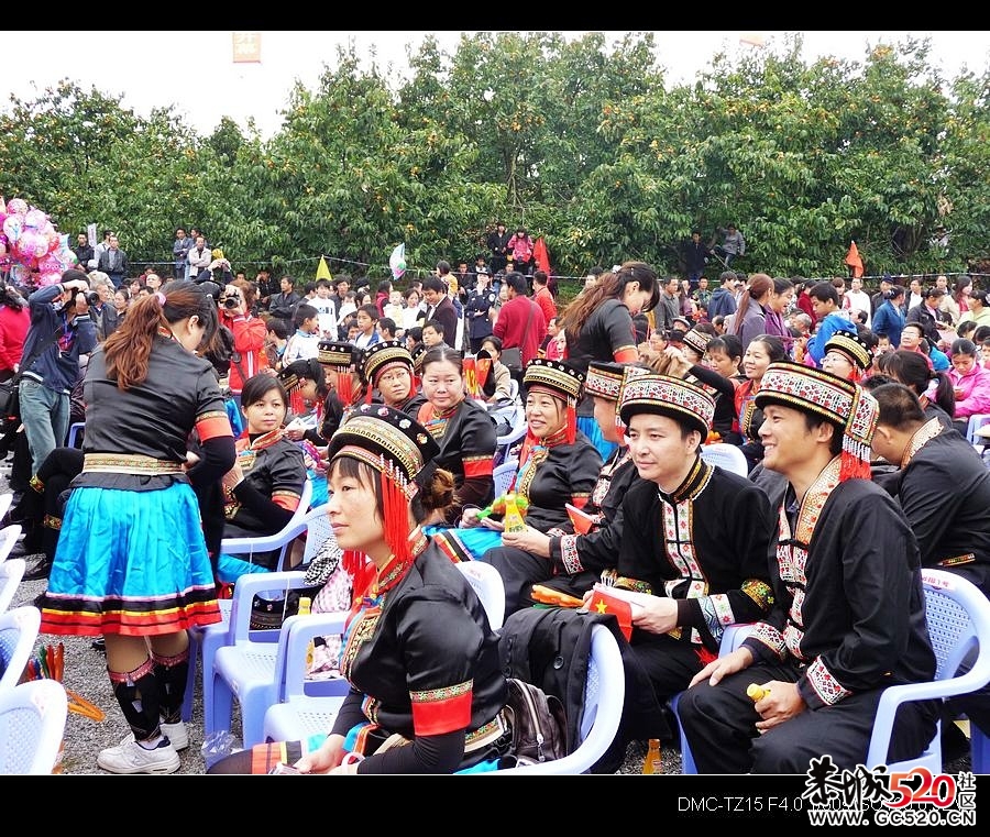 平安大叔参加过的三次月柿节回忆278 / 作者:平安大叔 / 帖子ID:3650