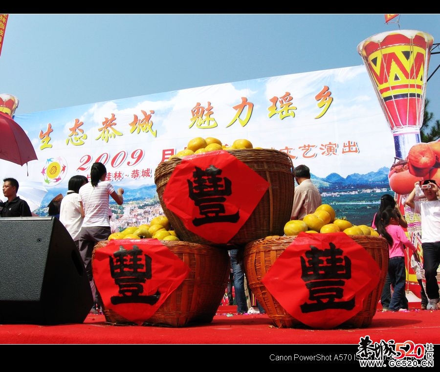 平安大叔参加过的三次月柿节回忆798 / 作者:平安大叔 / 帖子ID:3650