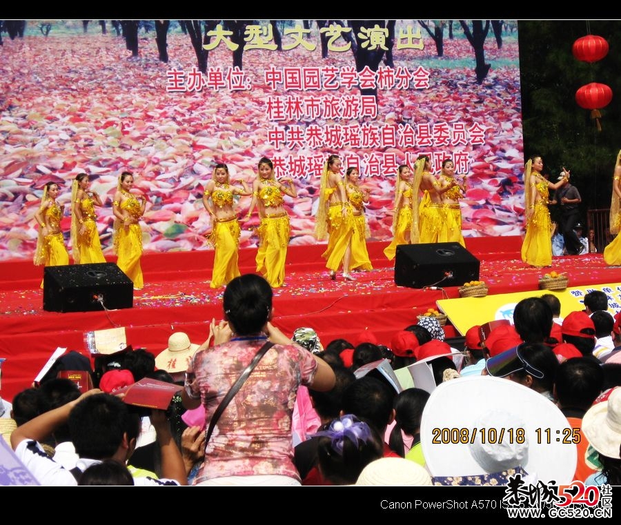 平安大叔参加过的三次月柿节回忆762 / 作者:平安大叔 / 帖子ID:3650