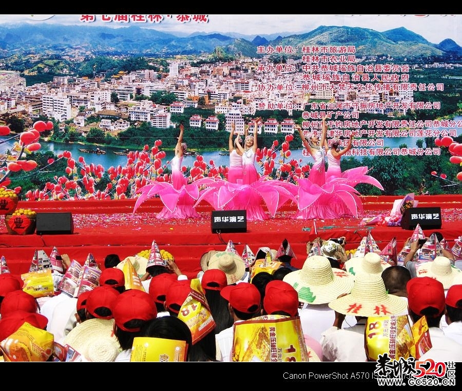 平安大叔参加过的三次月柿节回忆665 / 作者:平安大叔 / 帖子ID:3650