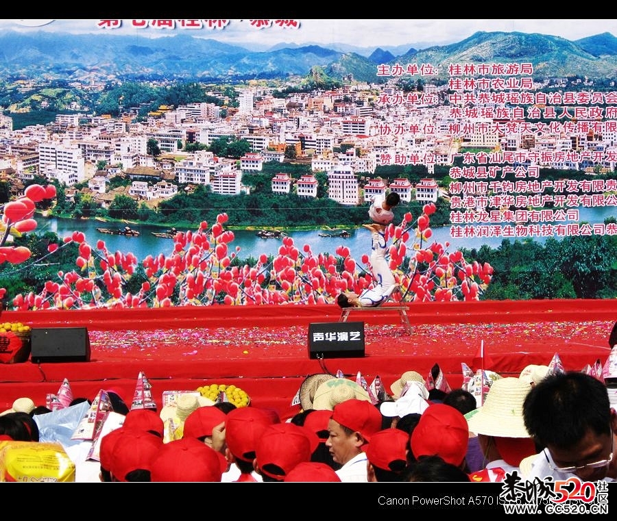 平安大叔参加过的三次月柿节回忆403 / 作者:平安大叔 / 帖子ID:3650