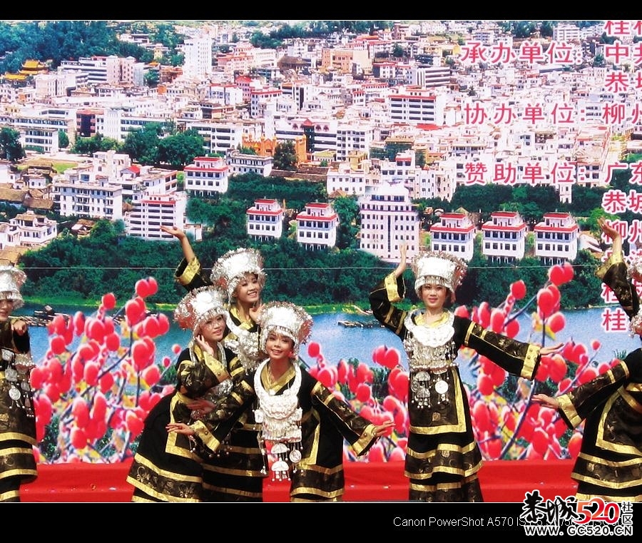 平安大叔参加过的三次月柿节回忆426 / 作者:平安大叔 / 帖子ID:3650