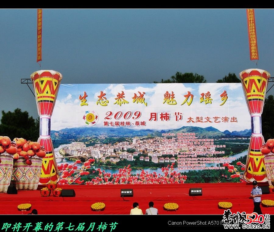 平安大叔参加过的三次月柿节回忆377 / 作者:平安大叔 / 帖子ID:3650