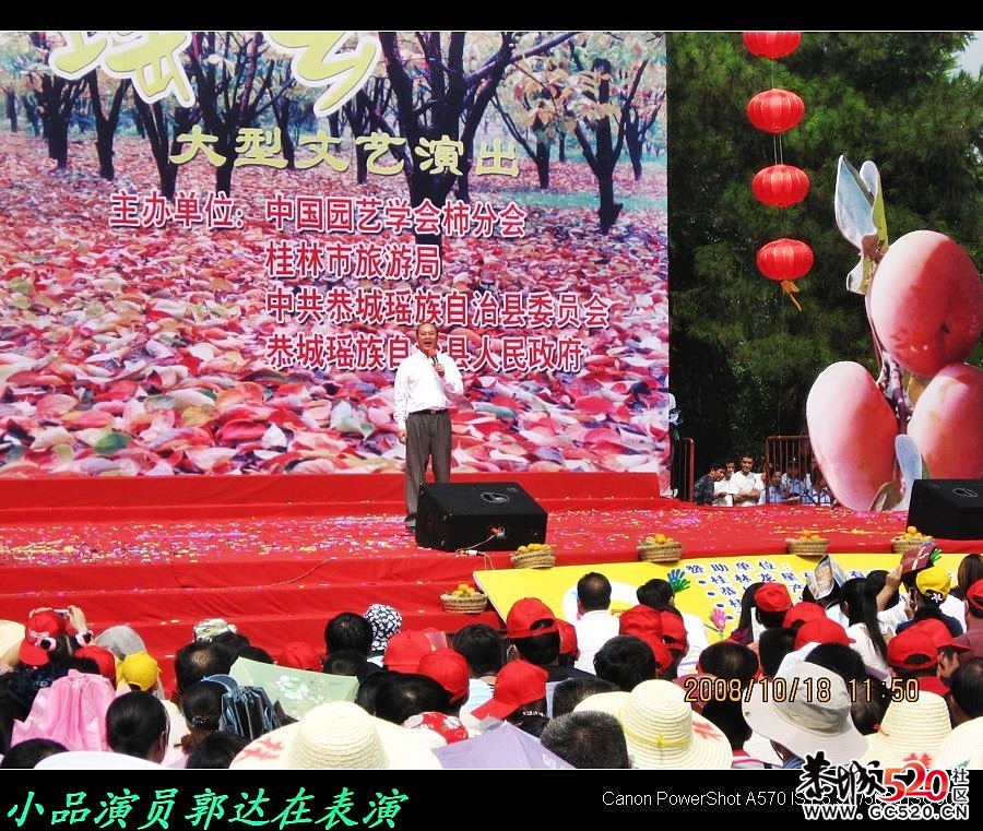 平安大叔参加过的三次月柿节回忆372 / 作者:平安大叔 / 帖子ID:3650