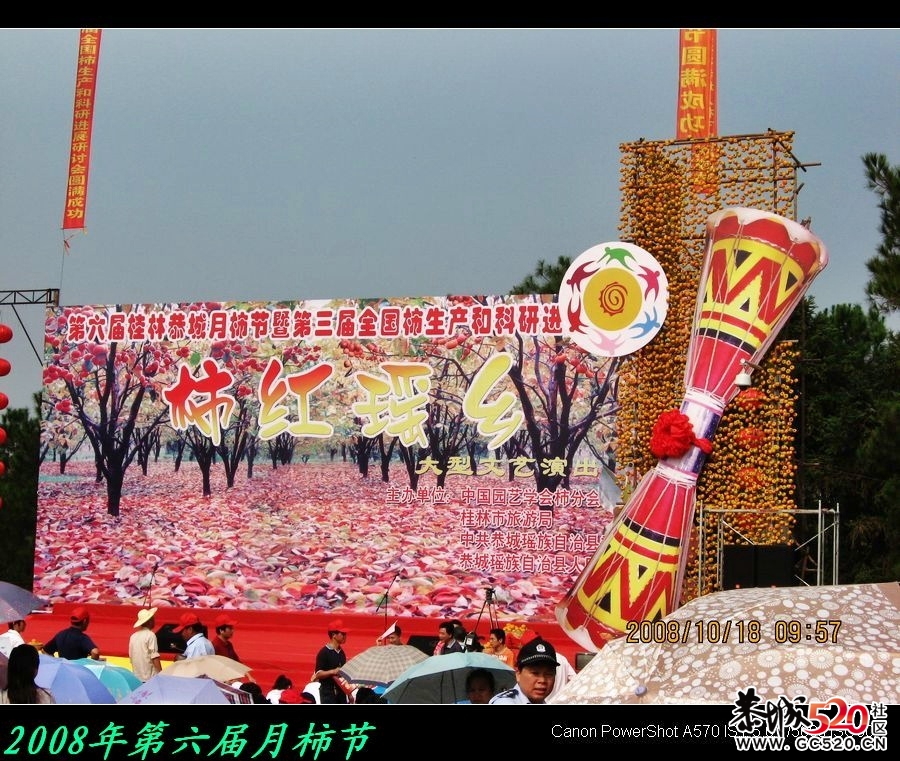 平安大叔参加过的三次月柿节回忆89 / 作者:平安大叔 / 帖子ID:3650