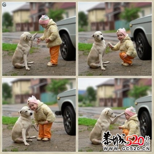 孩子与动物：世界上最美的画面。299 / 作者:樱桃小丹妮 / 帖子ID:3696