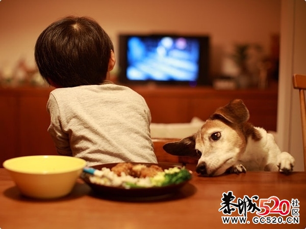 孩子与动物：世界上最美的画面。748 / 作者:樱桃小丹妮 / 帖子ID:3696