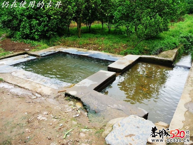 恭城一个急待保护、发掘的古民居和古祠堂。521 / 作者:平安大叔 / 帖子ID:3951
