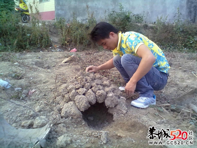 叫花鸡、 手机拍的。没什么清楚。458 / 作者:小骚 / 帖子ID:4168