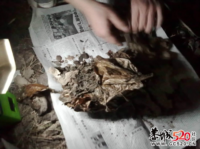 叫花鸡、 手机拍的。没什么清楚。480 / 作者:小骚 / 帖子ID:4168