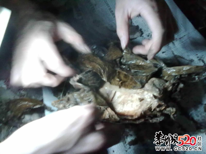 叫花鸡、 手机拍的。没什么清楚。965 / 作者:小骚 / 帖子ID:4168