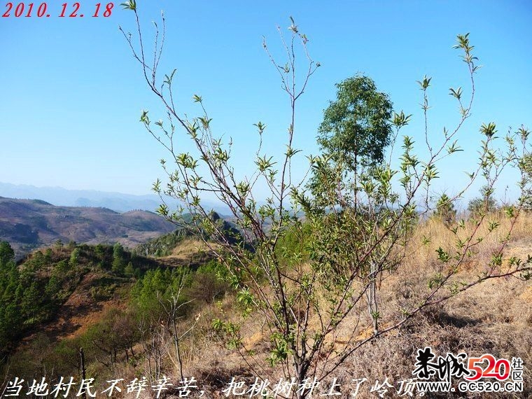 东越岭上看恭城全景488 / 作者:平安大叔 / 帖子ID:4223