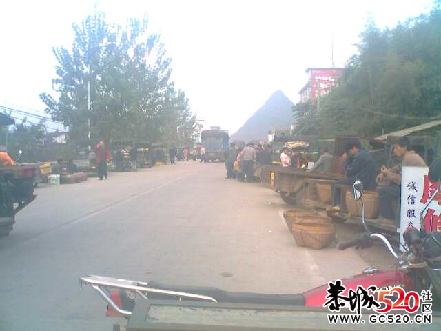 今天莲花柿饼闹子大堵车756 / 作者:32号 / 帖子ID:4261