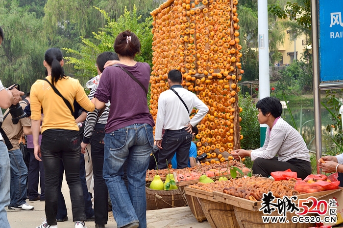 柿子食疗方健胃润肠养肺止泻336 / 作者:悟空 / 帖子ID:4289