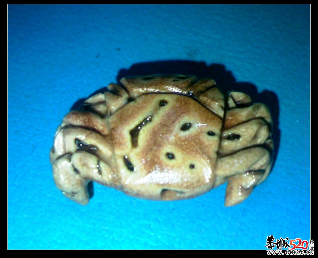 【更新】我的桃核雕刻69 / 作者:排散 / 帖子ID:3992