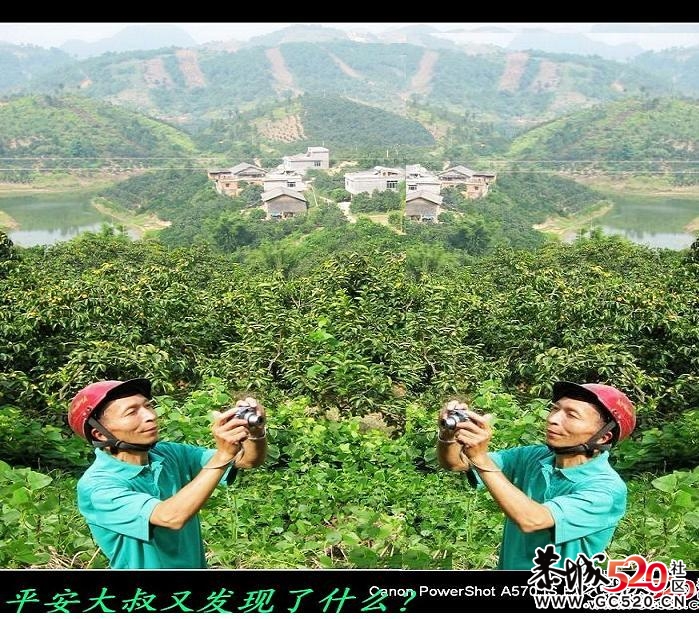 平安大叔又发现了什么？997 / 作者:排散 / 帖子ID:4561