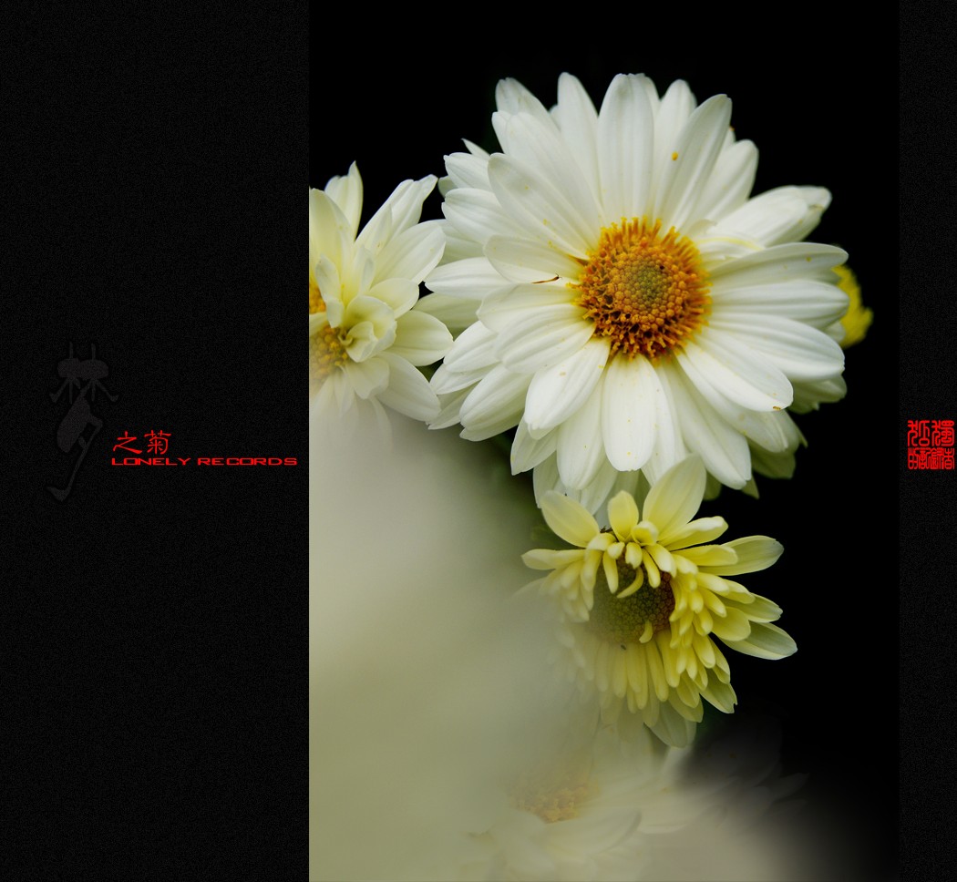 夢之菊（二）411 / 作者:195 / 帖子ID:4666
