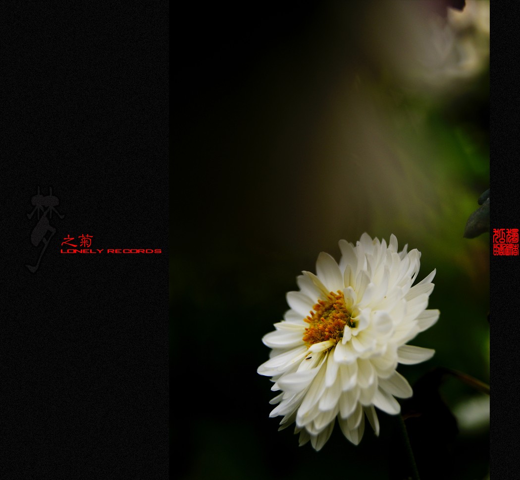 夢之菊（二）946 / 作者:195 / 帖子ID:4666
