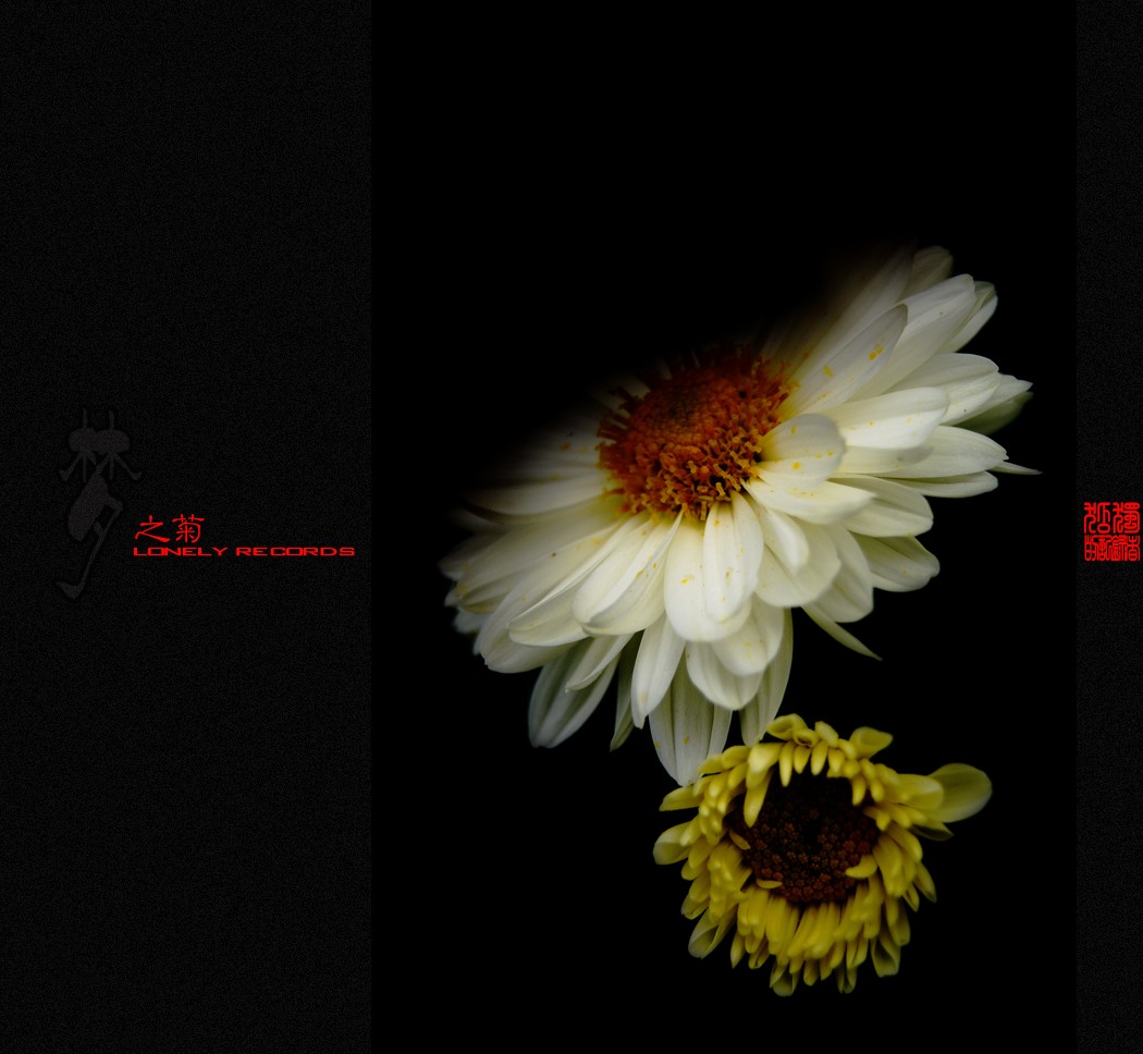 夢之菊（二）953 / 作者:195 / 帖子ID:4666