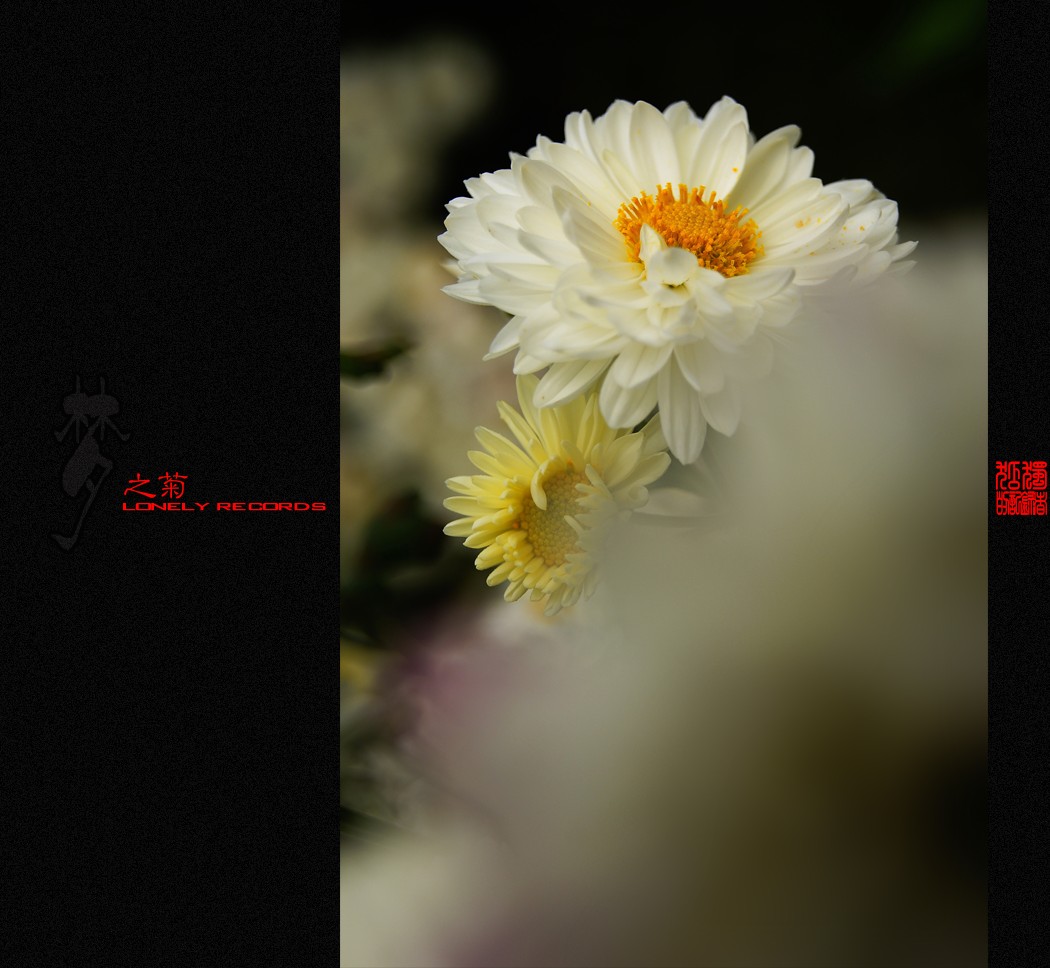夢之菊（二）98 / 作者:195 / 帖子ID:4666