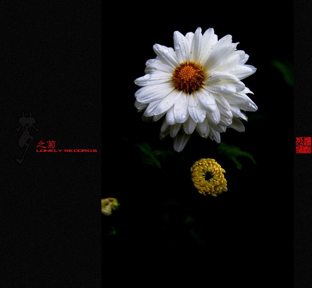 夢之菊（二）489 / 作者:195 / 帖子ID:4666