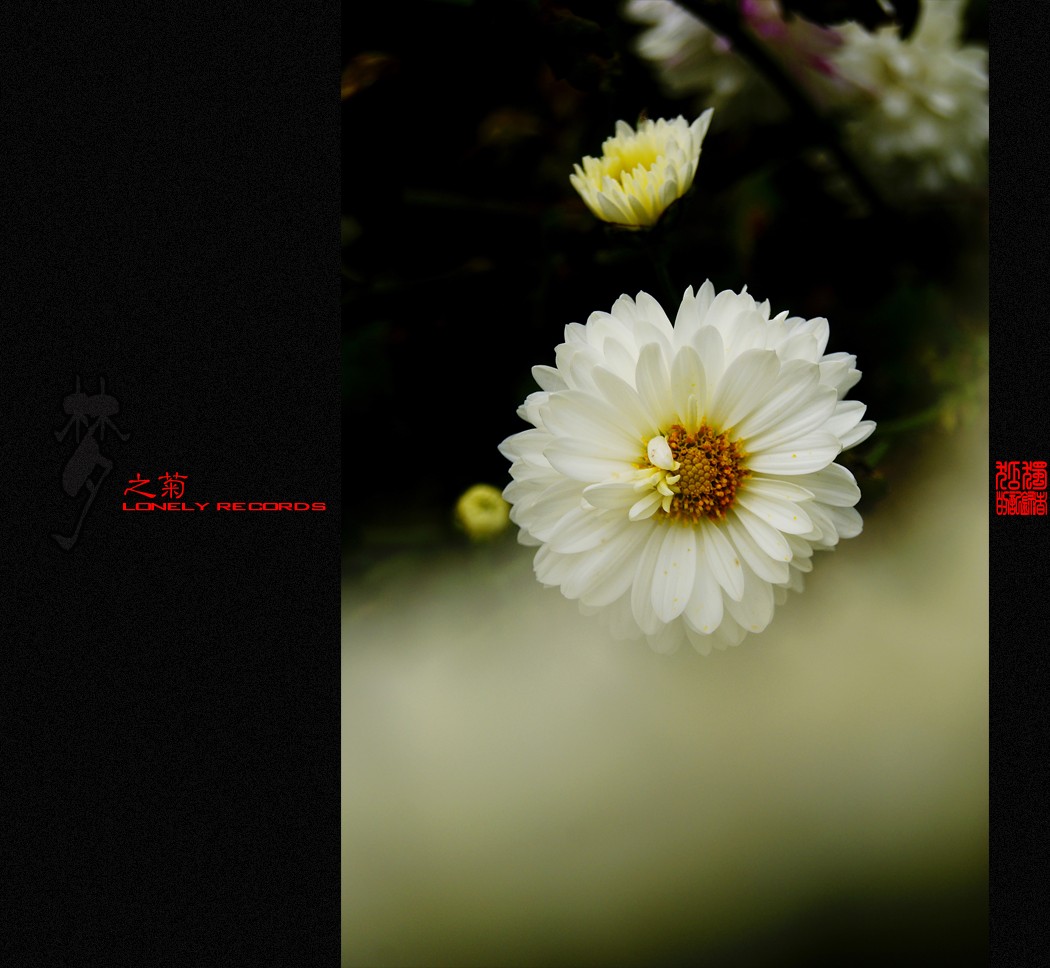 夢之菊（二）135 / 作者:195 / 帖子ID:4666