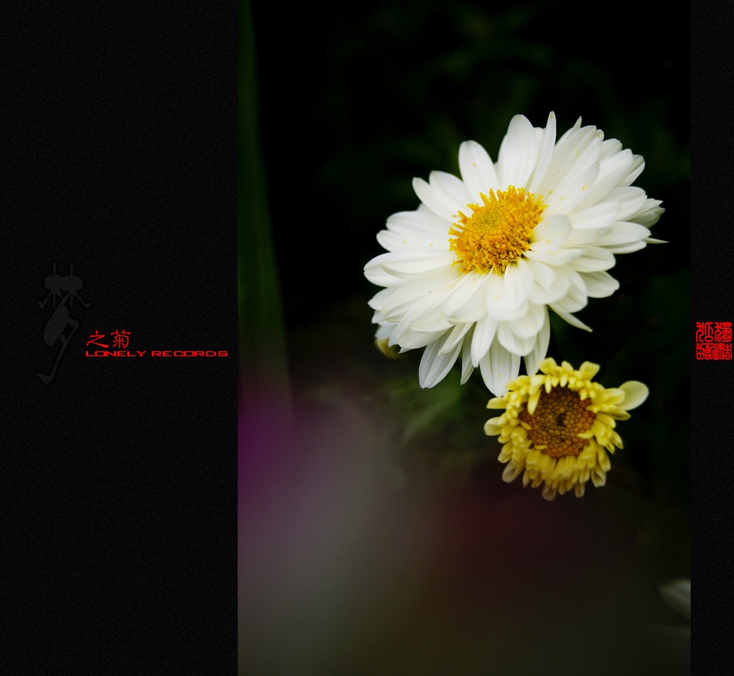 夢之菊（二）289 / 作者:195 / 帖子ID:4666