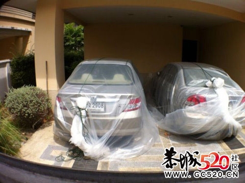 泰国水灾中的人民智慧!绝对亮瞎你的双眼！720 / 作者:请叫我宅男先生 / 帖子ID:5080