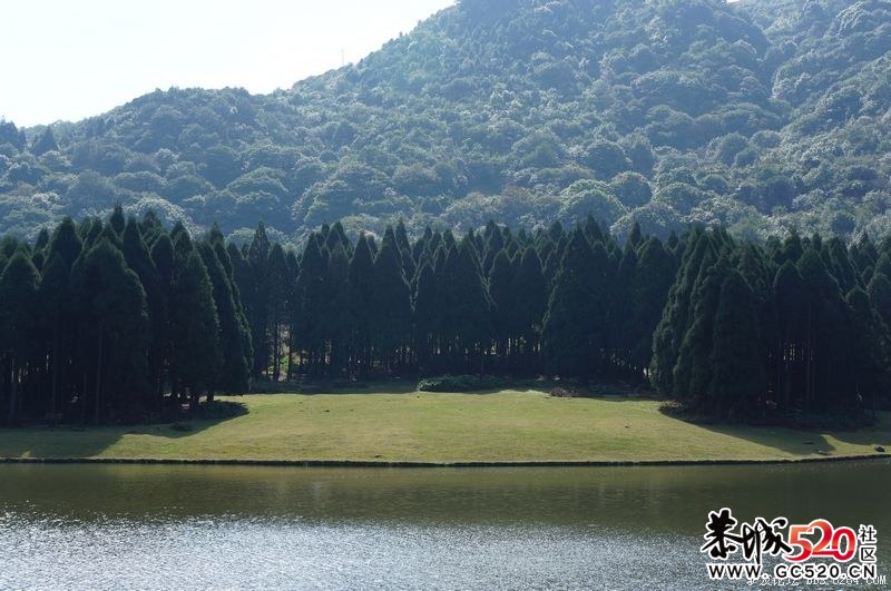 2011大容山浪漫圣诞嘉年华. 大型森林户外狂欢音乐会618 / 作者:躲在墙上的幸福 / 帖子ID:5364