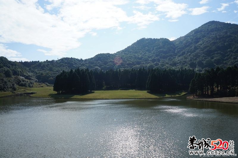 2011大容山浪漫圣诞嘉年华. 大型森林户外狂欢音乐会355 / 作者:躲在墙上的幸福 / 帖子ID:5364
