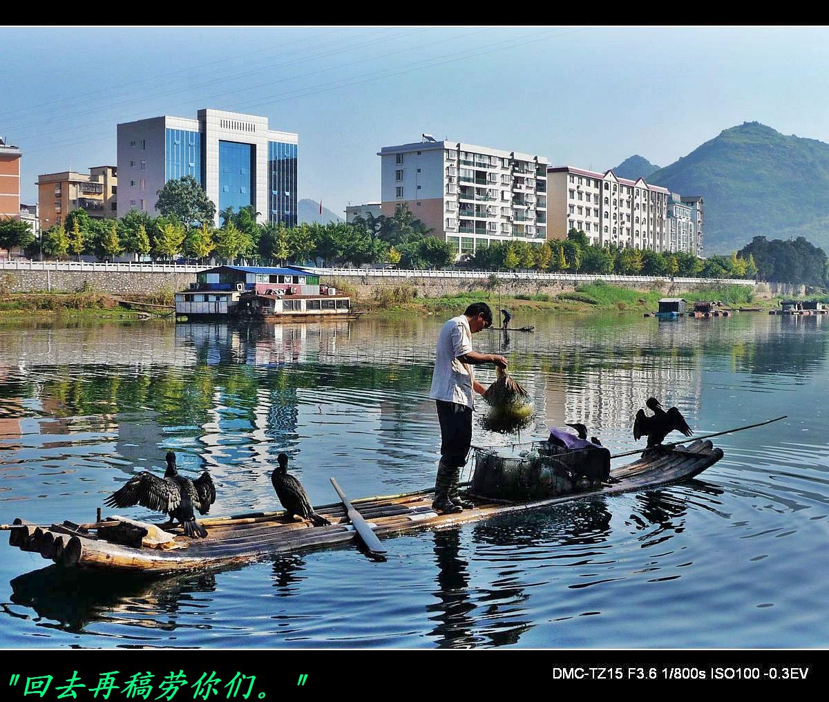 茶江狞渔图555 / 作者:平安大叔 / 帖子ID:5388