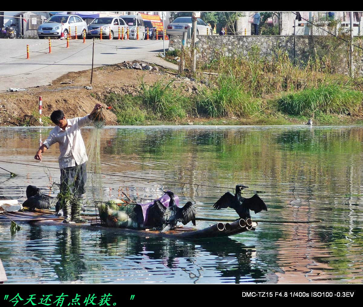 茶江狞渔图192 / 作者:平安大叔 / 帖子ID:5388